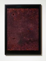 Observations from the Critical Zone 4 by Anne Noble contemporary artwork print