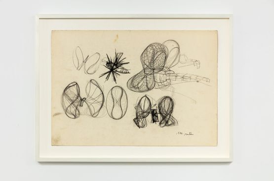 Untitled zborul  Untitled the flight by Stefan Bertalan contemporary artwork Works on Paper