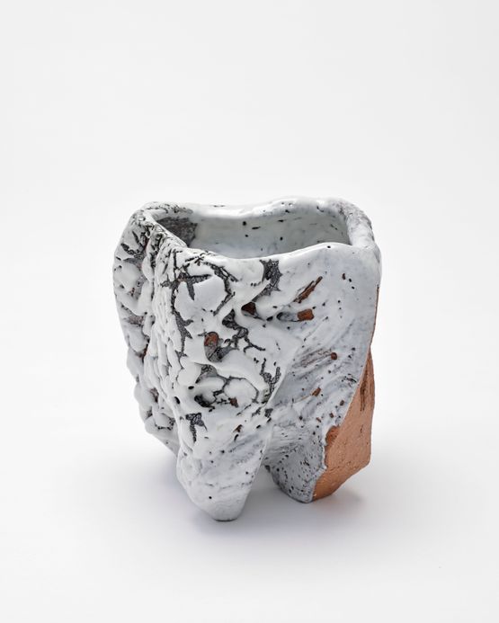 El Capitan by Miwa Kyusetsu Xiii contemporary artwork Sculpture