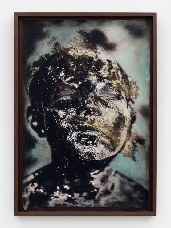 Untitled by Sofia Borges contemporary artwork Painting