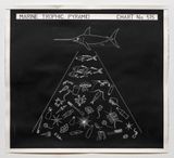 Marine Trophic Pyramid by Mark Dion contemporary artwork painting works on paper drawing