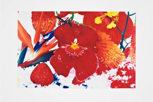Marc Quinn