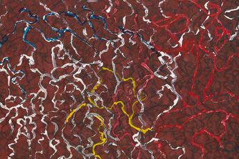 Contemporary art exhibition Brice Marden Morocco at Gagosian rue de Ponthieu Paris France