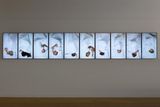 Artists Dreaming by Julie Rrap contemporary artwork moving image