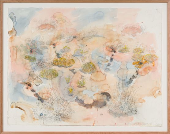 Great desert skink commune  basking mound birthing pool and defecatorium by John Wolseley contemporary artwork Works on Paper