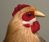 Capon by Boyd Webb contemporary artwork print