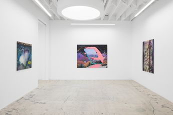 Contemporary art exhibition Melissa Brown West Coast Paintings at Anat Ebgi Mid Wilshire United States