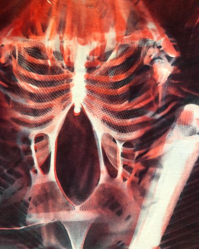 Andra Ursutas Kaleidoscopic Photograms Give Form to Mortality at David Zwirner