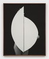 Second Self 5 by Sheree Hovsepian contemporary artwork photography