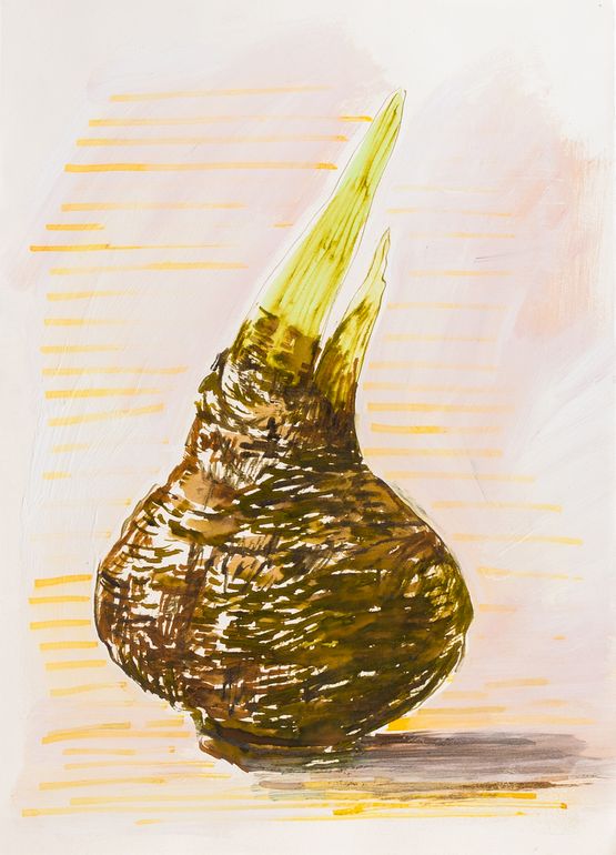 A Botanical Bulb by Fay Ming contemporary artwork Works on Paper