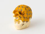 Finger Skull with Graphite Diamonds by Gabriel Orozco contemporary artwork painting