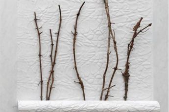 Contemporary art exhibition Giuseppe Penone Impronte di corpi nellaria  Bodies Imprinted in the Air at Gagosian Athens Greece