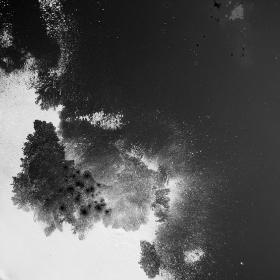 Oil Spill 1 by Rivane Neuenschwander contemporary artwork Photography