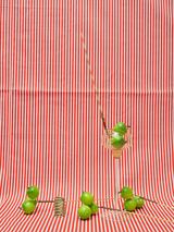 Apples 2 by Annette Kelm contemporary artwork photography