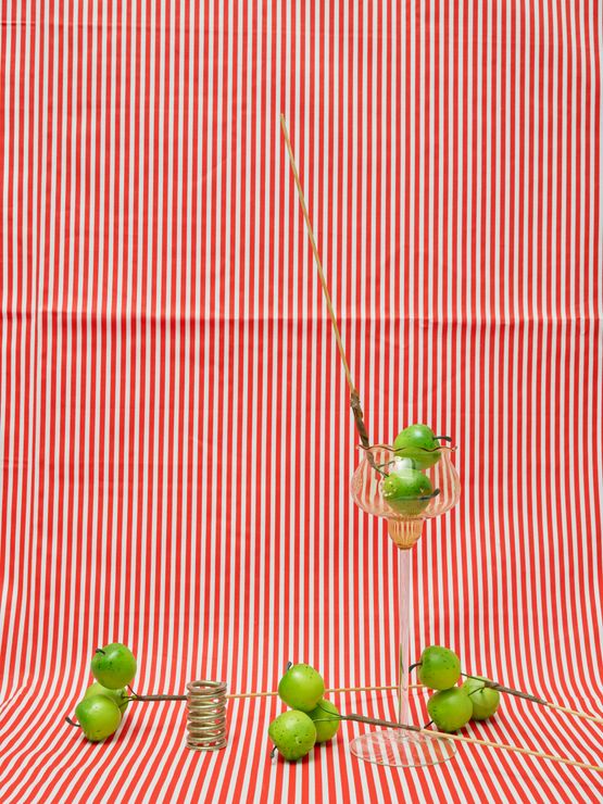Apples 2 by Annette Kelm contemporary artwork Photography