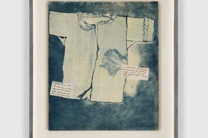 Sue Williamson
