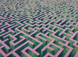 Maze Green  Pink Purple by Xu Qu contemporary artwork painting