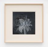 Eye palm on black by Hayv Kahraman contemporary artwork works on paper
