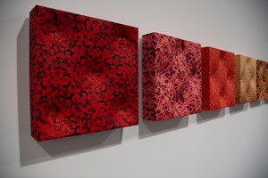 Elizabeth Thomson