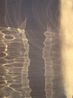 30.01.2024. 0738 by Peter Nadas contemporary artwork Print