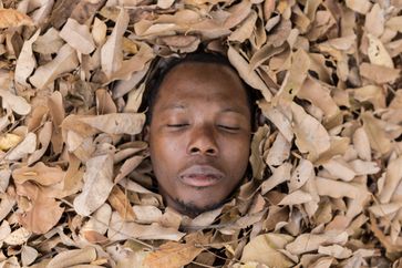Ishola Akpo contemporary artist