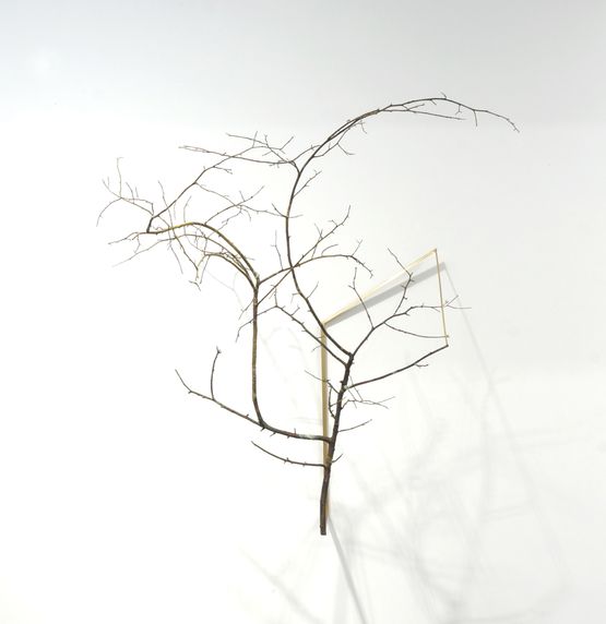 Zelkova by Koo Hyunmo contemporary artwork Sculpture