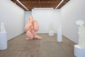 Polly Borland