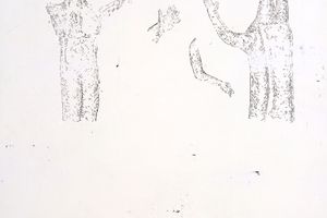 Lim Nosik