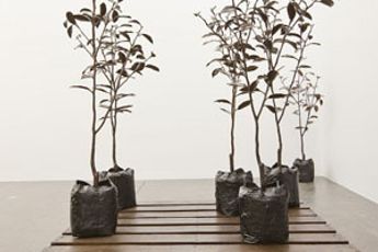 Michael Parekowhai contemporary artist