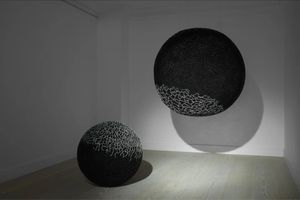 Jane Mcadam Freud