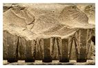 ohne titel  no title by Peter Piller contemporary artwork Print
