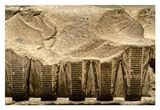 ohne titel  no title by Peter Piller contemporary artwork print