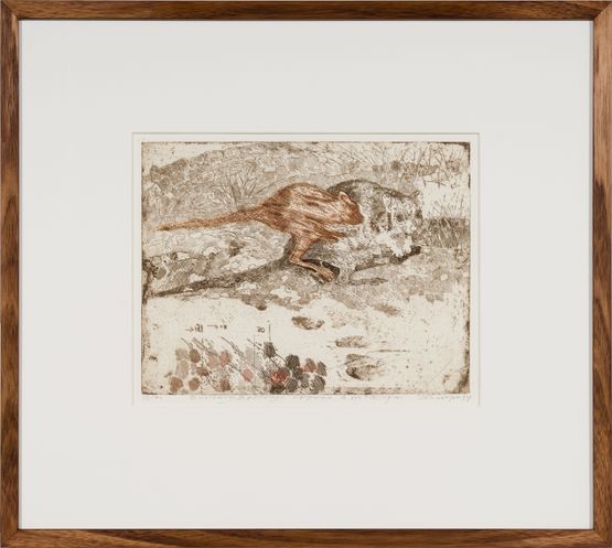 Burrowing Bettongs return to Watikinpirri - Newhaven by John Wolseley contemporary artwork Print
