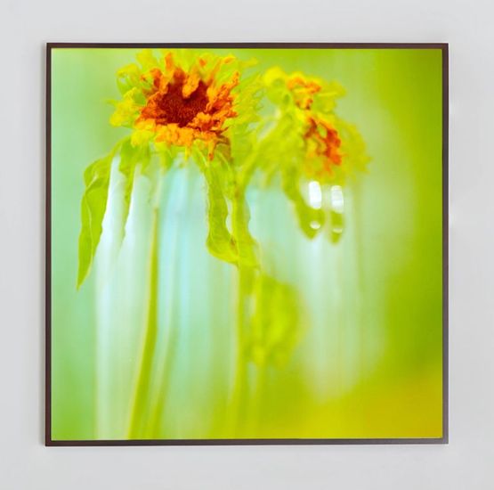 Yellow Withers by Ziad Antar contemporary artwork Works on Paper