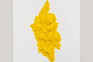 Wu Wei