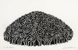Cork Dome by David Nash contemporary artwork drawing