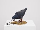 Empowered Pigeon 3 by Laure Prouvost contemporary artwork Sculpture