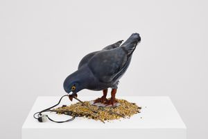 Laure Prouvost