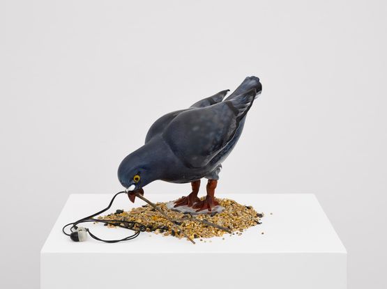 Empowered Pigeon 3 by Laure Prouvost contemporary artwork Sculpture