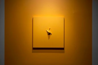 Ali Senturk contemporary artist
