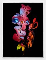 Transfixion AI Woman by Awol Erizku contemporary artwork photography