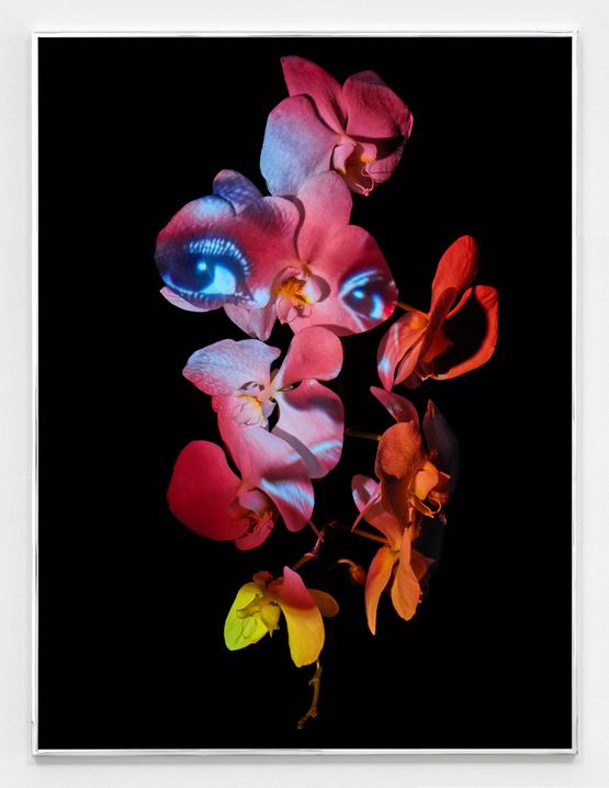 Transfixion AI Woman by Awol Erizku contemporary artwork Photography