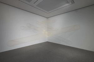 Lygia Pape