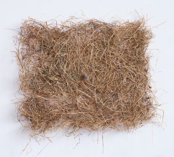 Oggetto fatto di fieno by Astrid Bauer contemporary artwork Sculpture