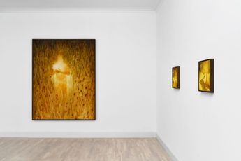 Contemporary art exhibition Xie Lei Nachtgesange at Sies  Hoke Caprii Germany