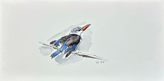 Brown-Hooded Kingfisher by Summer Mei-Ling Lee contemporary artwork Works on Paper