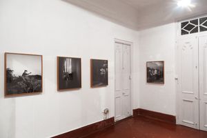 Soumya Sankar Bose