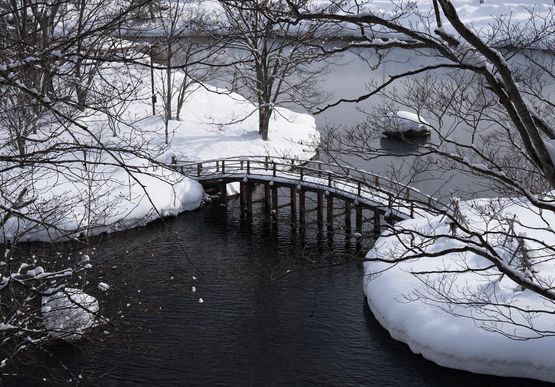 Bridge Over Untroubled Waters by Stephen King contemporary artwork Photography