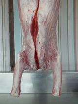 Carcass Eltham by Peter Peryer contemporary artwork photography