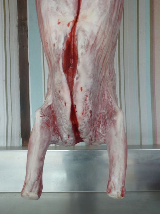 Carcass Eltham by Peter Peryer contemporary artwork Photography